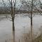 Land Unter in Mannheim (19 kByte)