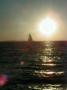 thm_23092000055.jpg