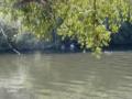 thm_27052001032.jpg