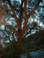 thm_27052001045.jpg