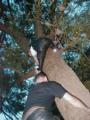 thm_27052001046.jpg
