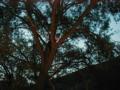 thm_27052001050.jpg